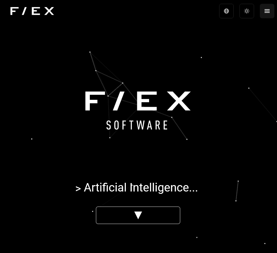 Flex Software screenshot 1
